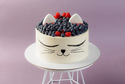 Торт «Ягодный котик»